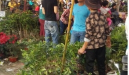 Chợ Viềng Nam Định chật cứng người 'mua may, bán rủi'