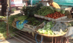 Giá rau xanh dần ổn định trở lại