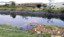 Đi vớt bèo, phát hiện bộ xương người dưới kênh Tham Lương