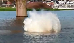 Video: Vật thể lạ giống quái vật hồ Loch Ness bơi giữa trường đua