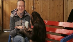 Hài hước với phản ứng của tinh tinh khi xem ảo thuật