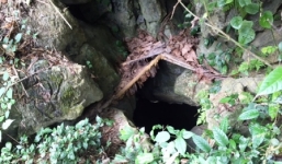 Hai đồng tiền cổ lớn trong hang Mó Nủa bị đánh cắp