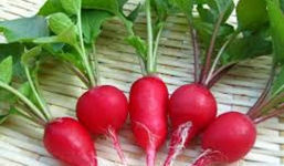 Lợi ích sức khỏe của củ cải đường không phải ai cũng biết