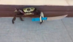 Video cua 'múa dao' tự vệ khi bị người tấn công hút 1 triệu lượt xem 