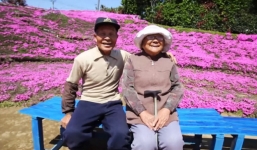 Cụ ông trồng hàng ngàn khóm hoa cho người vợ mù 