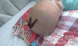 Con rể ngoại quốc truy sát 5 người nhà vợ, trốn vào rừng tràm