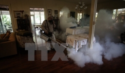 Một phụ nữ nhiễm virus Zika vẫn sinh con khỏe mạnh