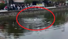 Video: Hàng chục người 'thờ ơ' nhìn thanh niên vùng vẫy dưới hồ