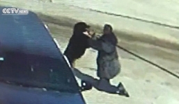 Ông lão 62 tuổi đã dùng kung-fu chiến đấu với chó Ngao Tây Tạng 75kg