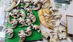 Ẩn số 'nữ chúa' buôn da hổ và sự trả giá vì giỡn mặt chúa sơn lâm