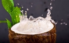 Nước dừa và lợi ích bất ngờ ít biết