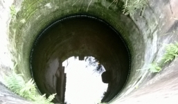 Sự thật việc nhiều người hóa điên vì lấp giếng