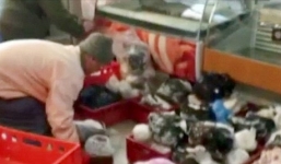 Bắt giữ 5 tấn thịt đông lạnh suốt 35 năm, từ năm 1980