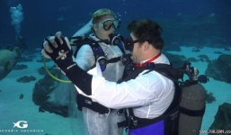 Đám cưới dưới lòng thủy cung