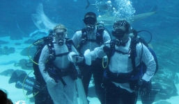  Cận cảnh đám cưới đầu tiên dưới thủy cung