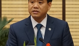 Chủ tịch Hà Nội chỉ đạo cử người đi nước ngoài học cắt tỉa cây xanh