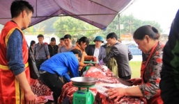 Chen nhau mua thịt trâu chọi ở Vĩnh Phúc