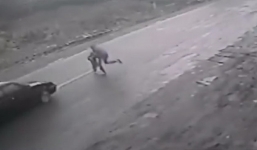 Video: Cậu bé 4 tuổi thoát chết thần kỳ trước đầu ô tô