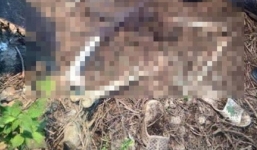 Bắc Ninh: Phát hiện thi thể trơ xương trong bụi rậm