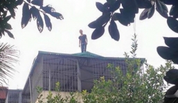 Video: Nam thanh niên nghi ngáo đá cố thủ trên nóc nhà xuyên đêm ở Hà Nội