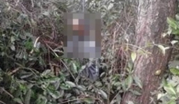 Người đàn ông chết trong tư thế treo cổ trong rừng thông