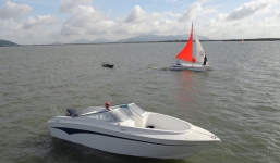 Giám đốc doanh nghiệp cầu cứu Bí thư Đinh La Thăng 