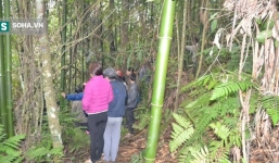 Nam thanh niên treo cổ trong rừng từng bán vợ đang mang bầu 3 tháng