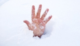 Bé 2 tuổi tử vong do bị chôn vùi trong tuyết