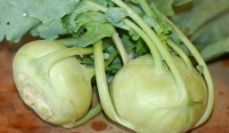 Su hào và những lợi ích bất ngờ ít biết