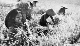 Lời bài hát Lên ngàn:  Khúc tráng ca về hình ảnh người phụ nữ thời chiến