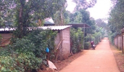 Nghi vấn nam sinh lớp 9 tự vẫn sau khi bị nghi trộm hoa