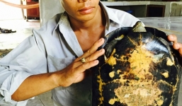 Sự thật bất ngờ sau lời đồn 'rùa thần biết nghe kinh Phật ở Cà Mau'