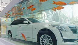 Hãng xe Trung Quốc chịu chơi 'ngâm' siêu xe trong bể cá