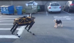 Hài hước cảnh chó thật đấu với chó robot