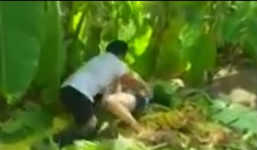 Khống chế nữ sinh lớp 8 đưa vào rừng keo xâm hại