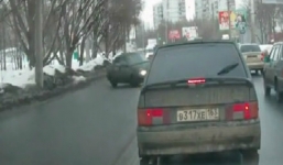 Chỉ vì 1 chú chó mà giao thông cả tuyến phố náo loạn