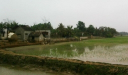 Nam thanh niên dâm ô bé gái 10 tuổi rồi ngủ luôn tại hiện trường