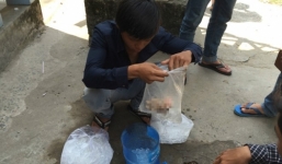 Ghép lại bàn tay cho thanh niên 17 tuổi bị truy sát ở Sài Gòn