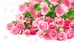 Những món quà độc đáo cho ngày Quốc tế phụ nữ 8/3