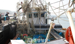 Phát hiện một thi thể thuyền viên Việt Nam mất tích ở Hàn Quốc