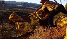 Video: Giải cứu sư tử khổng lồ treo lủng lẳng trên cây