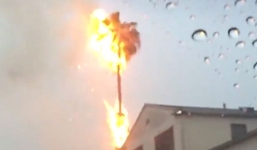 Video: Cây cau trúng sét, bốc cháy ngùn ngụt như ngọn đuốc khổng lồ