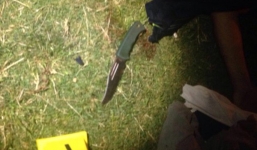 Video: Đâm dao tại Israel, 11 người thương vong