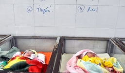 Sinh con gái, bệnh viện trao nhầm con trai