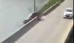 Tài xế ngủ gật lao ô tô xuống hồ