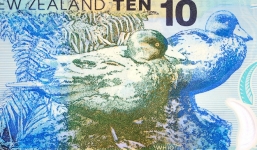 New Zealand xem xét phát lương toàn dân