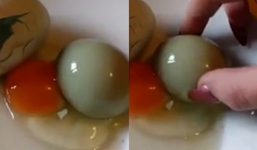 Giải mã hiện tượng kỳ lạ trứng gà 'đẻ' ra trứng 