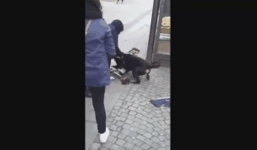 Video: Bé trai 6 tuổi bất ngờ bị chó dữ hung hãn tấn công trên phố