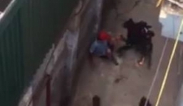 Nhìn lại vụ chó 'quý tộc' trả ơn chủ bằng... việc đi cấp cứu