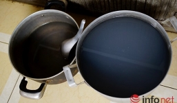 Thực hư vụ “sinh vật lạ” xuất hiện trong nước sinh hoạt tại Hà Nội